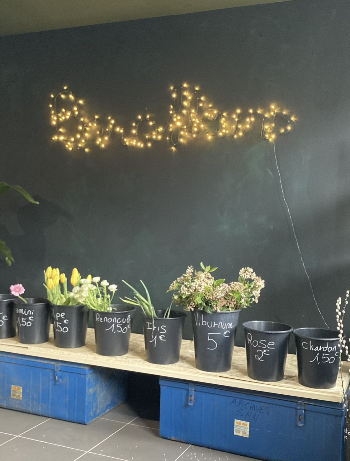 Boutique fleuriste, mur bleu